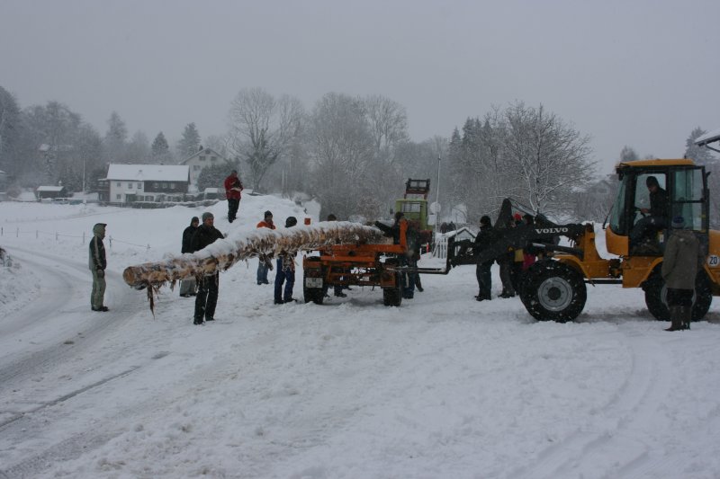 Maibaum einholen