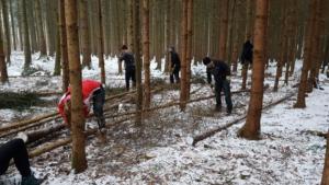 2019-01-04 Stangen machen