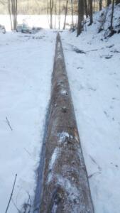 IMG-20190119-WA0001